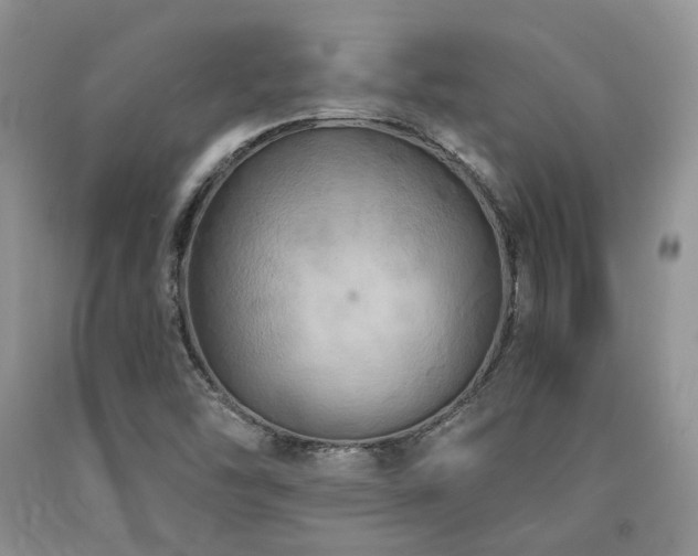 X0000090771454200707201429