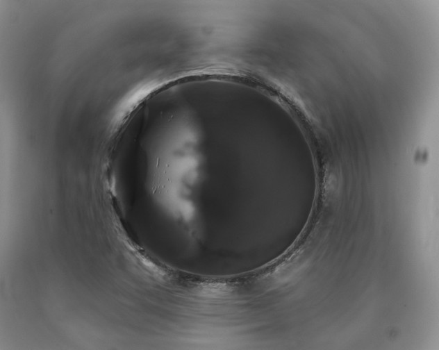 X0000090771455200707201429