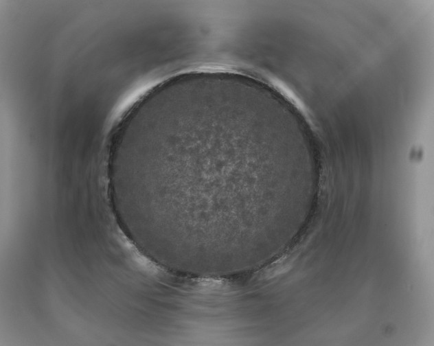 X0000090771456200707201429