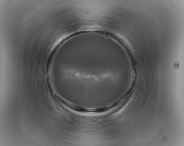 X0000090771457200707201429