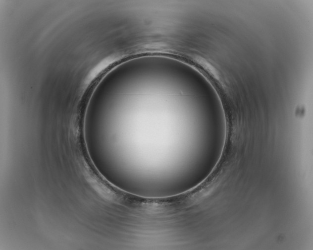 X0000090771458200707201429