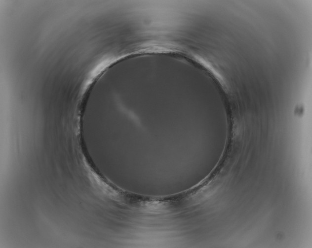 X0000090771459200707201429
