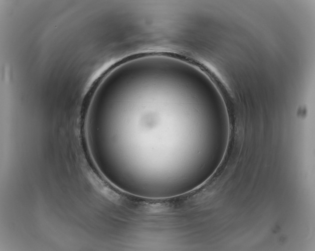 X0000090771460200707201429