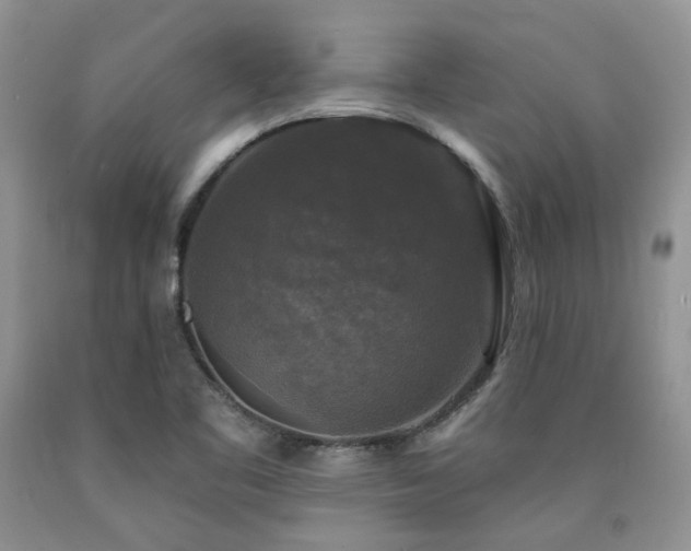 X0000090771461200707201429