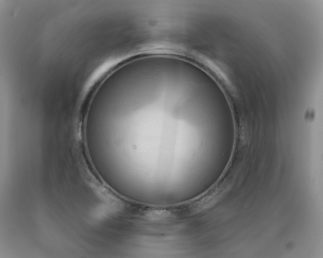 X0000090771462200707201429