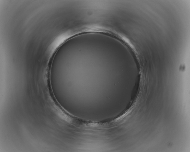 X0000090771463200707201429