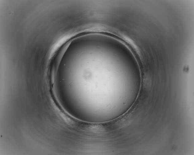 X0000090771464200707201429