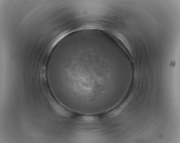 X0000090771465200707201429