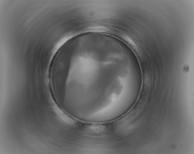 X0000090771466200707201429