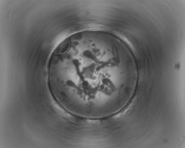 X0000090771467200707201429