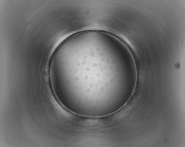 X0000090771468200707201429