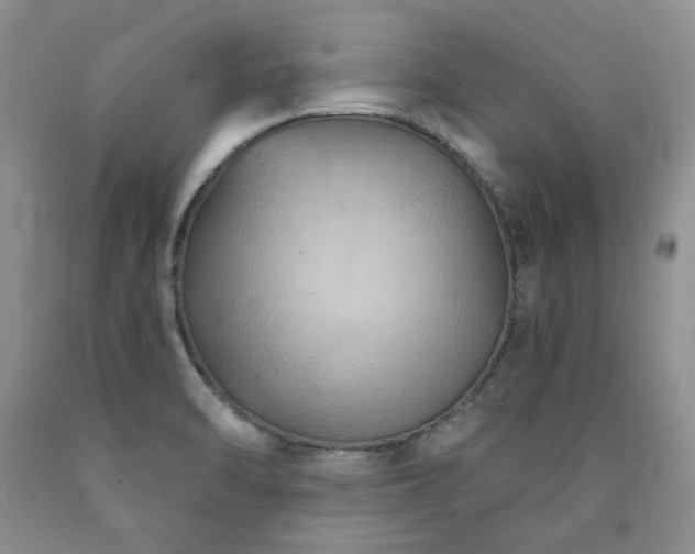 X0000090771470200707201428