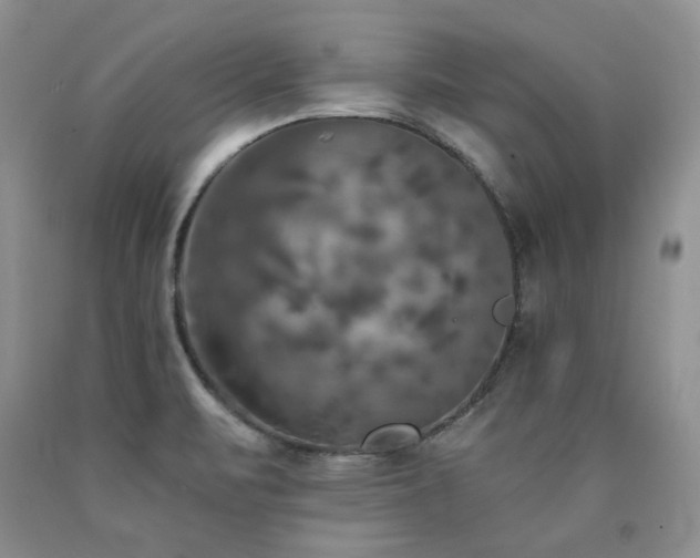 X0000090771471200707201428