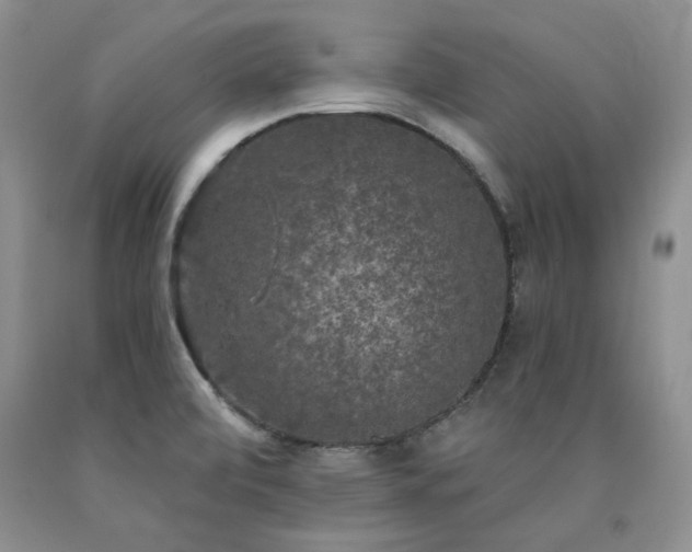 X0000090771472200707201428