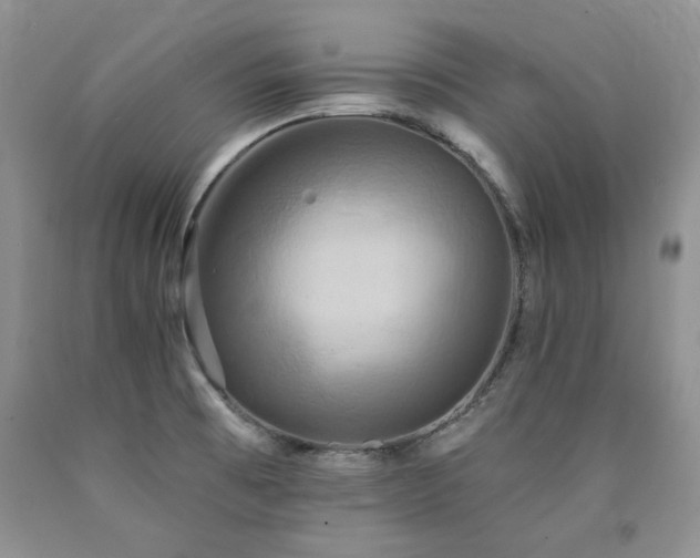 X0000090771473200707201428