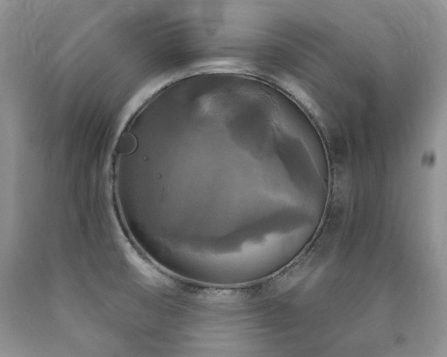 X0000090771474200707201428