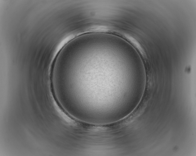 X0000090771475200707201428