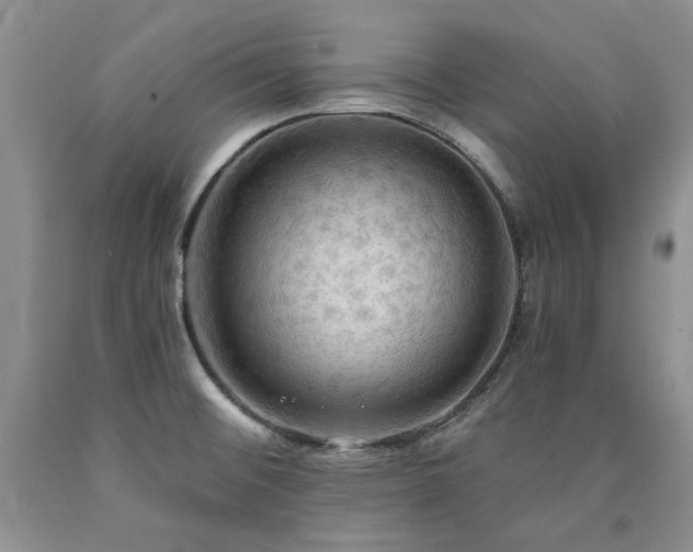X0000090771476200707201428