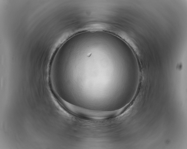 X0000090771477200707201428