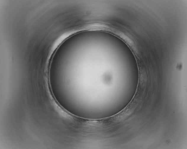 X0000090771478200707201428