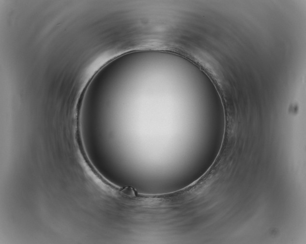 X0000090771479200707201428