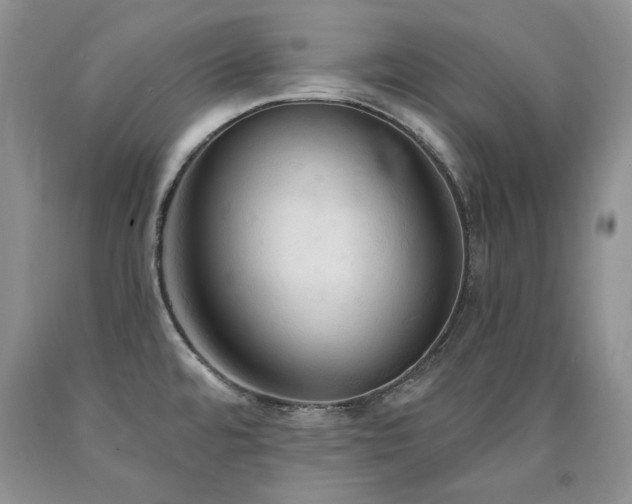 X0000090771480200707201428