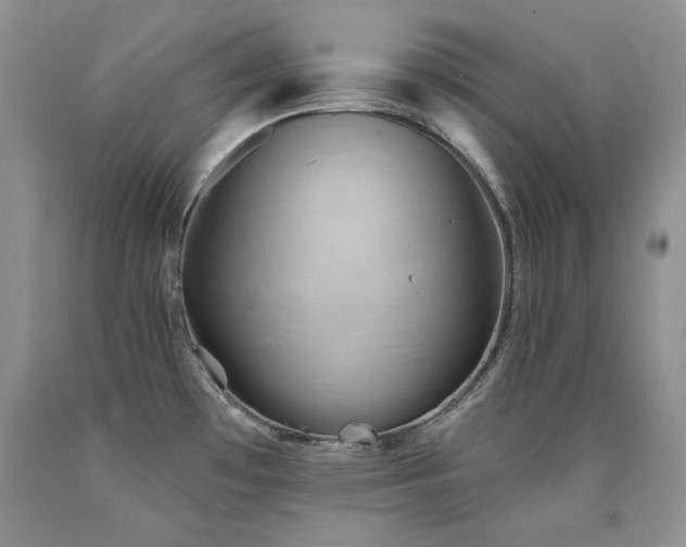 X0000090771481200707201428