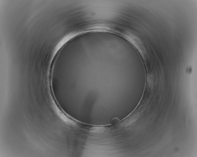 X0000090771482200707201428