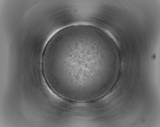 X0000090771484200707201428