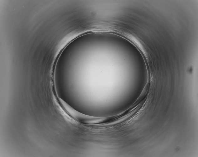 X0000090771485200707201428