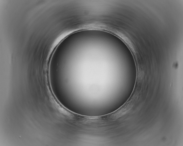 X0000090771486200707201428