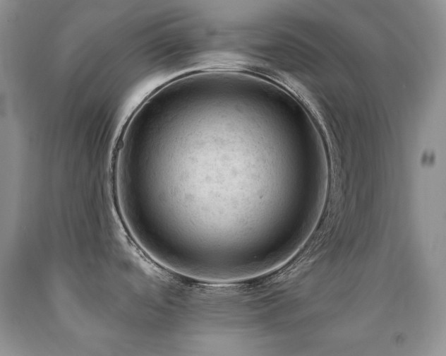 X0000090771488200707201428