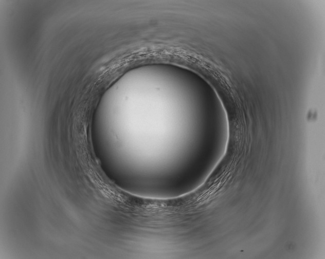 X0000090771489200707201427