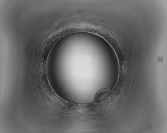 X0000090771493200707201428