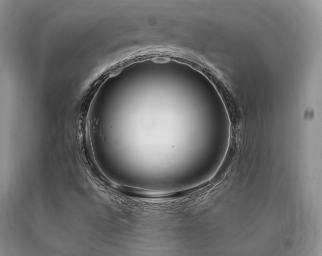 X0000090771496200707201428