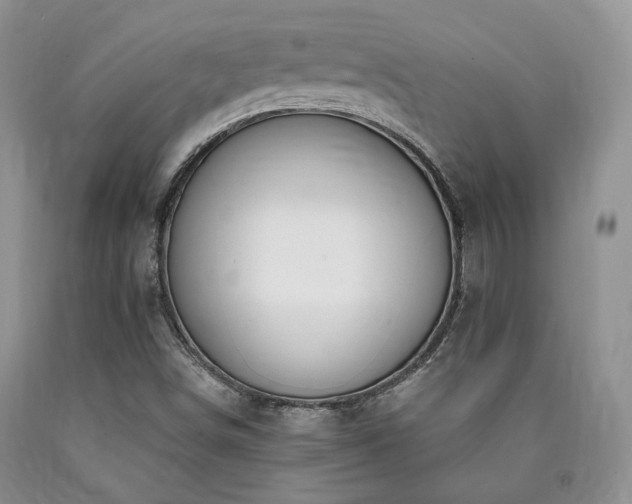 X0000090771498200707201428