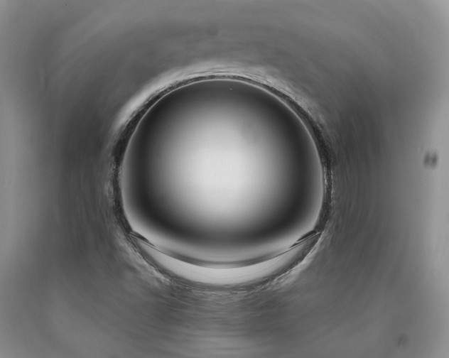 X0000090771502200707201428