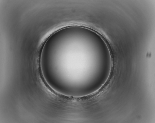 X0000090771504200707201428