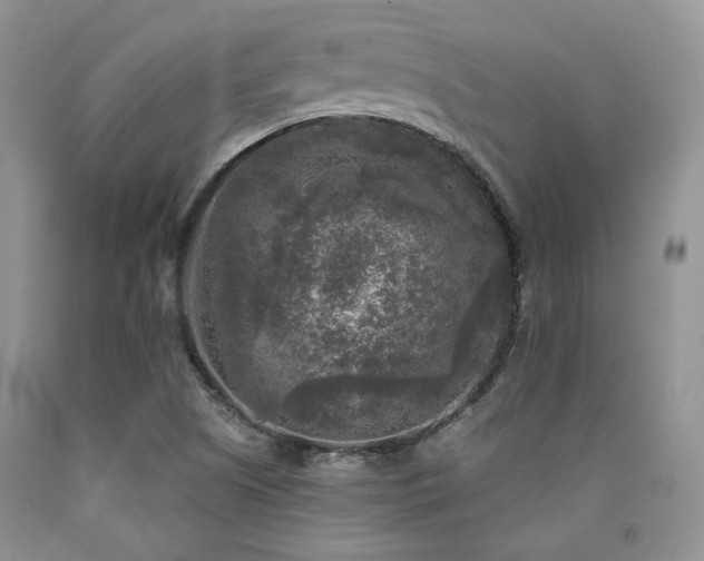 X0000090771505200707201428