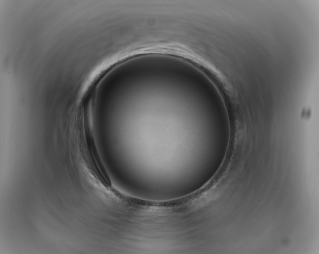 X0000090771506200707201428