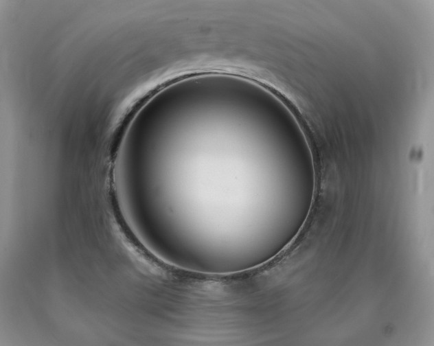 X0000090771507200707201428