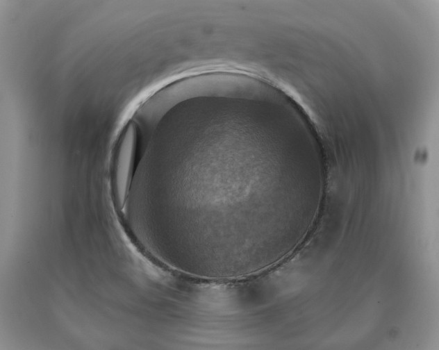 X0000090771508200707201428