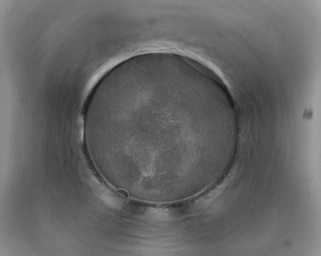 X0000090771509200707201428