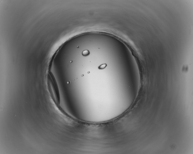 X0000090771512200707201428