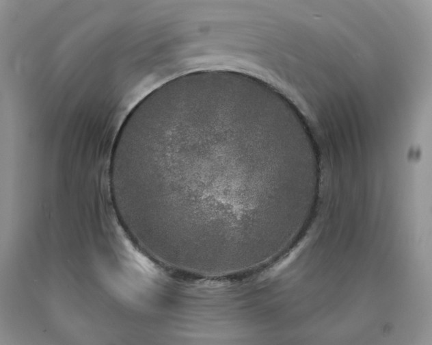 X0000090771513200707201428