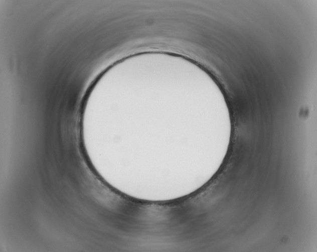 X0000090771514200707201428