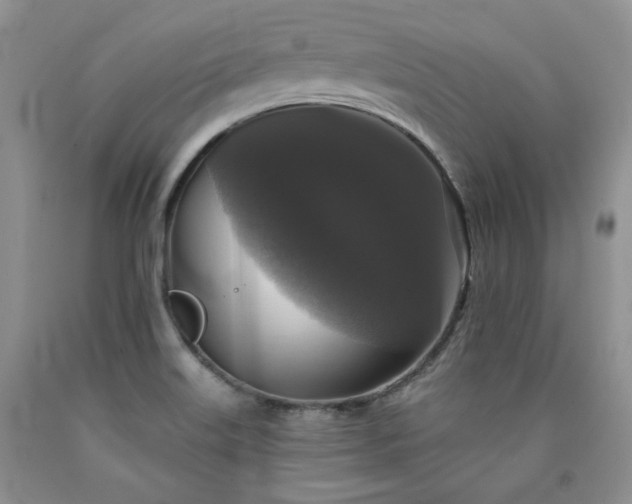 X0000090771515200707201428