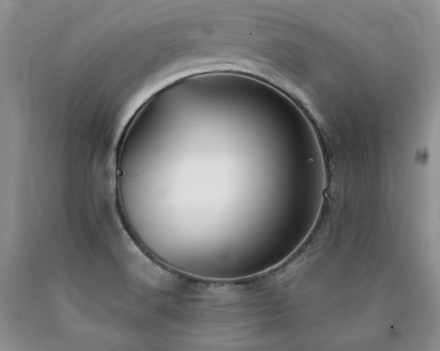 X0000090771516200707201428