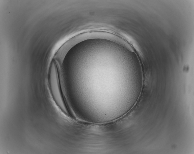 X0000090771520200707201428