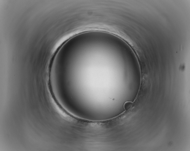 X0000090771523200707201428